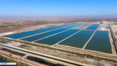 صلاح الدين.. المباشرة بهدم أحواض أسماك غير المرخصة بالتزامن مع ارتفاع الأسعار