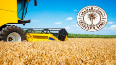 الرشيد يوجه فروعه بصرف مستحقات الفلاحين