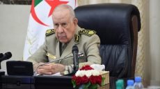 شنقريحة: محاولات التشويش لن تنال من الدور الجزائري في الساحل.. وعطاف يؤكد أن بلاده لديها مخزون من الصبر كاف لمواجهة معضلات المنطقة