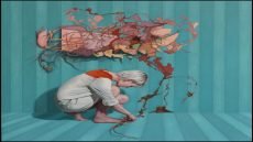 “الشرق شرق والغرب غرب”: تحليل لخطاب الثنائية في ضوء النقد ما بعد الكولونيالي / رياض العلي