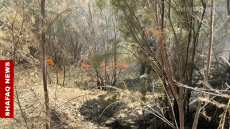 الدخان يخنق “رئة كركوك”.. نيران في غابات التون كوبري تهدد البيئة