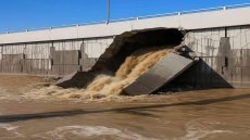 الصورة منتشرة معمولة بالذكاء الاصطناعي