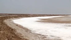 بين الملح والعطش.. هل تنقذ الإجراءات العاجلة ماء البصرة من الموت البطيء؟