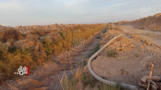 ذي قار .. الجفاف يجبر 10 آلاف عائلة على النزوح