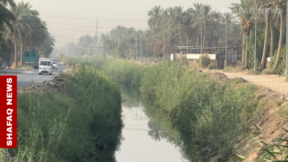 المجرية” تنتعش بعد غضب شعبي في بابل..