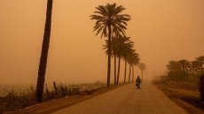 العراق بات بحاجة إلى تشريع طارئ يأخذ بالحسبان التغيرات المناخية ..البلد يشتعل فوق 53 مئوية.. والقانون لا يرى الشمس