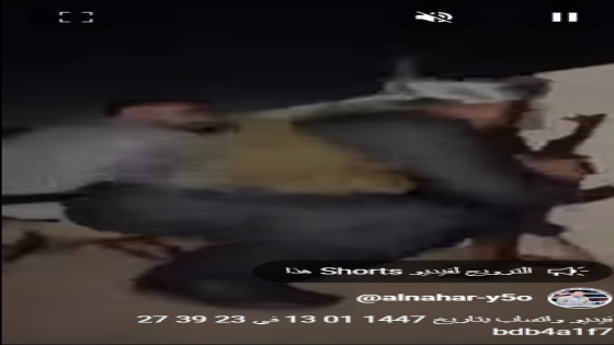 اعلنت مصادر كردية عن سقوط عدد من القتلى والجرحى بصفوف البيشمركة وابناء عشيرة كردية اثر اشتباك مسلح في قضاء خبات ضمن محافظة اربيل شمالي العراق