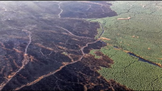 الهواء مقابل النفط.. مفارقة الموت البطيء في أرياف العراق