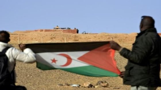 آفاق التسوية لنزاع الصحراء المغربية .. ودعم برتغالي للحل المغربي في الصحراء يعزز موقف المملكة