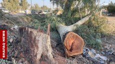 اعتقال متورطين بـ”اغتيال الطبيعة” في ديالى