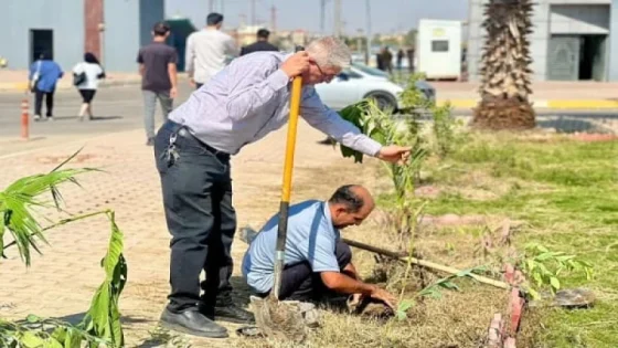 إلزام سكان كركوك بزراعة شجرتين أمام منازلهم ومحالهم