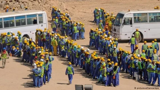 اللامي يدعو لاعتماد “استراتيجية التوازن” في العمالة داخل الحقول النفطية