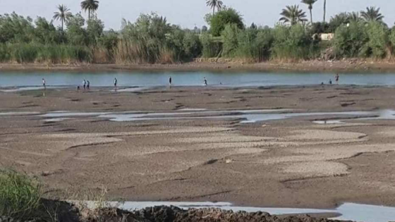 مركز يحذر من “كارثة إنسانية”نتيجة تفاقم شح المياه ويدعو لإعلان تأهب عام في العراق