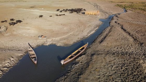 المطيري: البرلمان فقد دوره التشريعي والرقابي بسبب سوء الإدارة