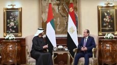 خطة ترامب للسلام في غزة ضمن لقاء السيسي بالشيخ محمد بن زايد