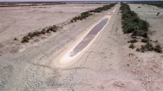 واسط.. اللجنة الزراعية تعلن 3 إجراءات عاجلة لمواجهة أزمة الجفاف