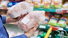 العراق يمنع استيراد الدجاج المجمد ومقطعاته لحماية المنتج المحلي