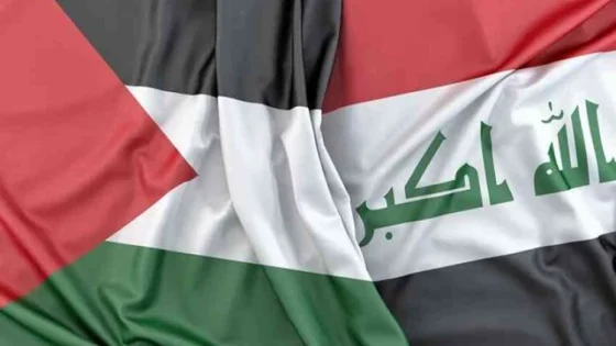 الخارجية النيابية: القضية الفلسطينية ستبقى محوراً ثابتاً في الموقف العراقي