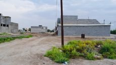 أمانة بغداد تحدد سعراً لتحويل الأراضي الزراعية إلى سكنية