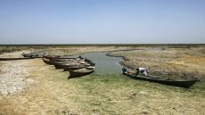 Canoes are seen in the shallow waters of the Chibayish marshes near the southern Iraqi city of Nasiriyah on June 25, 2015. Marsh areas in southern Iraq have been affected since the Islamic State group started closing the gates of a dam on the Euphrates River in the central city of Ramadi, which is under the jihadist group's control. AFP PHOTO / HAIDAR HAMDANI / AFP / HAIDAR HAMDANI
