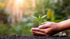 مبادرة “بذرة أمل” لتشجير المدارس والكليات استعداداً للعام الدراسي