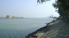 نائبة سابقة تدعو لاعتماد محطات متنقلة لإنهاء أزمة “اللسان الملحي” بالمحافظات الجنوبية