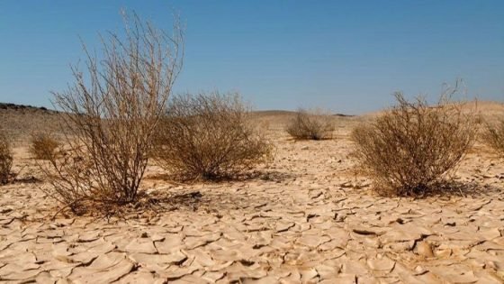 مرصد بيئي: 70% من أرض العراق قد تتحوّل لمناطق ميتة بحلول 2026