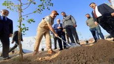 انطلاق أعمال الزراعة في مشروع “غابات بغداد”