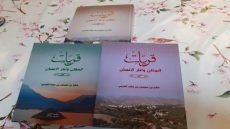 الشاطئ الذي تغرق فيه الأصوات / د. هادي حسن حمودي