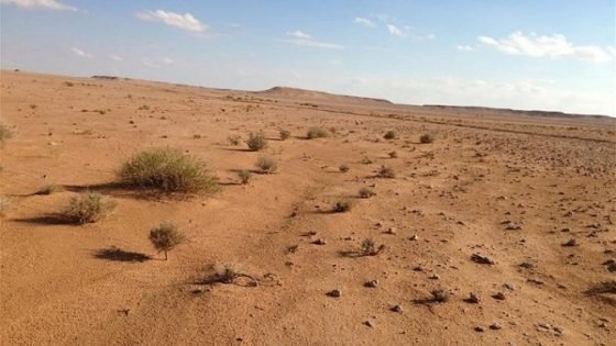 أرقام ونسب رسمية.. الأراضي الصحراوية تتمدد في العراق