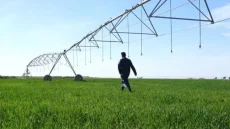 الحكومة العراقية تقر خطة الزراعة الشتوية لعام 2025