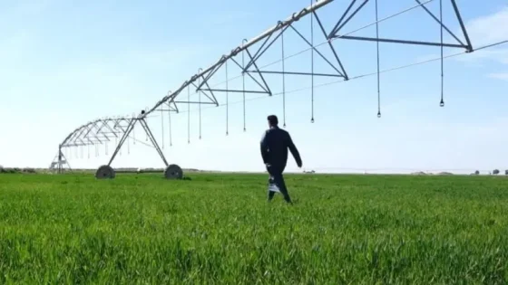 الحكومة العراقية تقر خطة الزراعة الشتوية لعام 2025