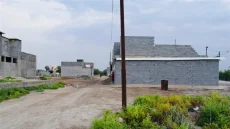 نائبة سابقة: قرار 320 لا يزال حبرًا على ورق بعد عامين على إصداره