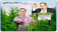 ليتنا دعمنا علاوي..سافايا مشغول جداً بدراسة العراق.. زيباري: “الحشيشة” التي يزرعها مشروعة وليست “قجق” كالتي عندنا