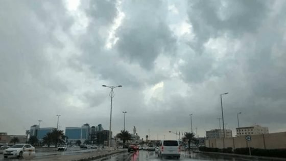 الأنواء الجوية: أمطار رعدية وضباب في عدد من المناطق