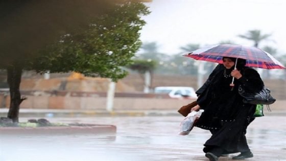 وزارة الكهرباء تستنفر فرقها لمواجهة موجة الأمطار