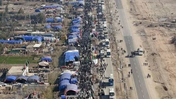 النجف تقرر إزالة 150 موكباً حسينياً على طريق كربلاء