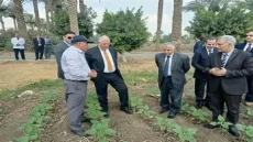 بعد تظاهرة.. قرار حكومي بتدوير مسؤولين في الزراعة