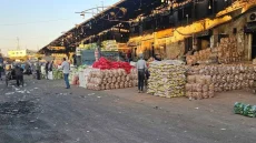 الزراعة العراقية تعلن حظر دخول 16 محصولاً إلى البلاد