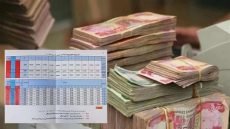 نائب: السلم الموحد للرواتب يعالج الفوارق ويحقق العدالة بين المؤسسات الحكومية