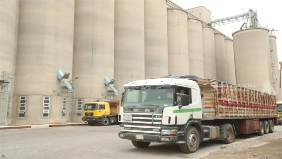 العراق يخطط لبناء 40 سايلو ضمن خطة خمسية لتعزيز الأمن الغذائي