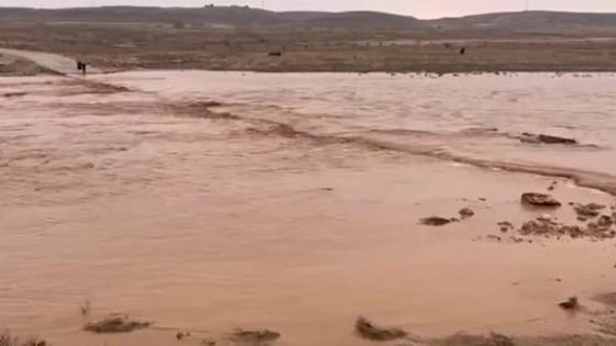 “تجنبوا السفر”… تحذير من الحالة الجوية: ذروتها ليل الأربعاء ودعوة برلمانية لاستثمار ارتفاع مناسيب المياه وتحديد حصة الفرد العراقي