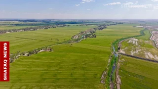 مزارعو المشخاب يترقبون “موسماً واعداً” للقمح مع اكتمال نضج السنابل