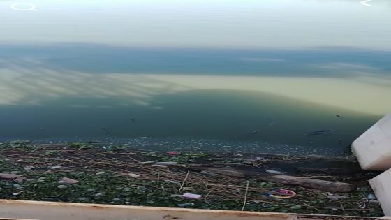 تحذيرات من عبور بقعة مياه ملوثة من سدة الكوت باتجاه ميسان