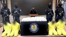 مديرية شؤون المخدرات: ضبط 800 ألف حبة مخدرة في عملية نوعية بالأنبار والمثنى