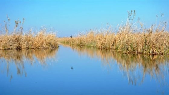 وداعاً للجفاف.. وفرة الأمطار وإطلاقات تركيا تملأ سدود العراق وتنقذ “شط العرب”