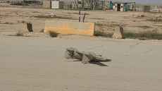 الدفاع تؤكد حقها بالرد ..الجيش العراقي يسقط مسيرة حاولت استهداف رادار في قاعدة عين الأسد