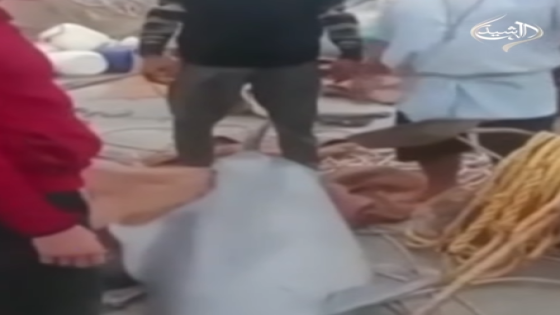 اصطياد “دولفين” على سواحل البصرة يثير موجة غضب