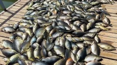 الجبوري: ارتدادات تلوث حوض دجلة لن تكون مؤقتة.. نحن أمام كارثة حقيقية