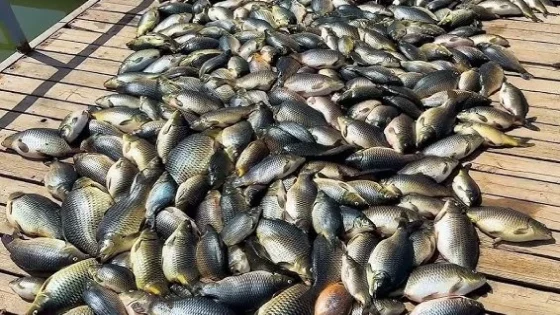 الجبوري: ارتدادات تلوث حوض دجلة لن تكون مؤقتة.. نحن أمام كارثة حقيقية